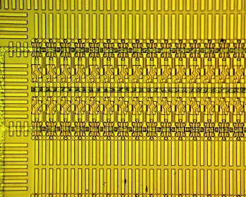  206-0003