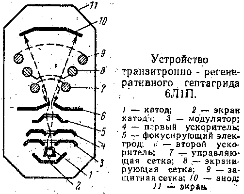  61