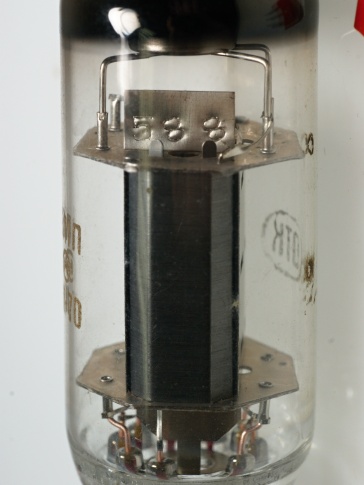  61