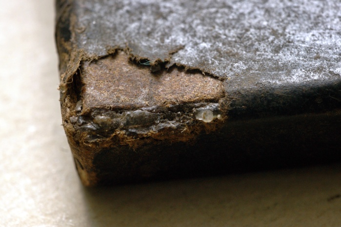 ����������� ������ ��������